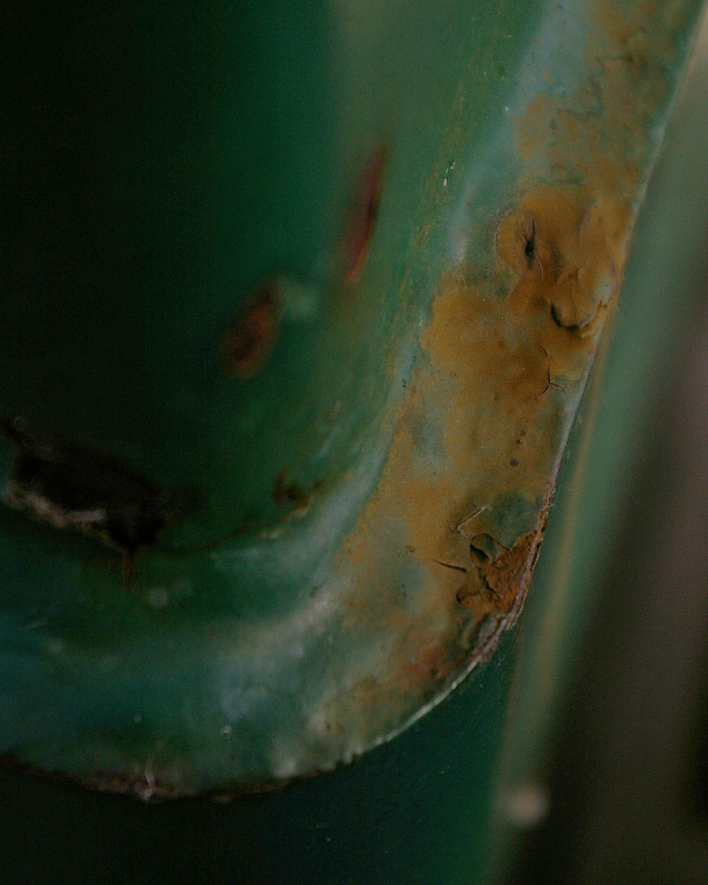 Fotografie von arttrainer für DesignCrowd (Community Contests) | Design #9002057