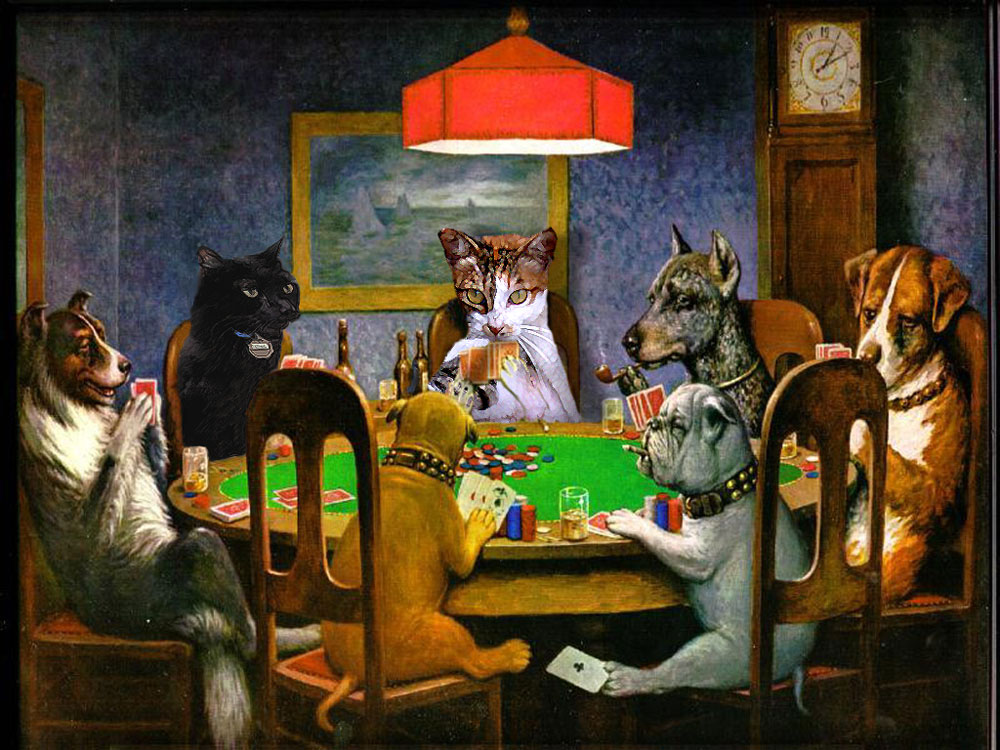 Photoshop Design by mibj2000 for DesignCrowd (Community Contests) | Design #9001815