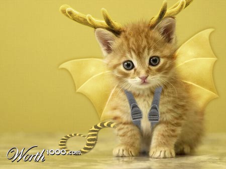 Photoshop Design by edbargut