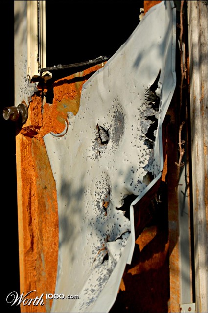 Photography by ccortez