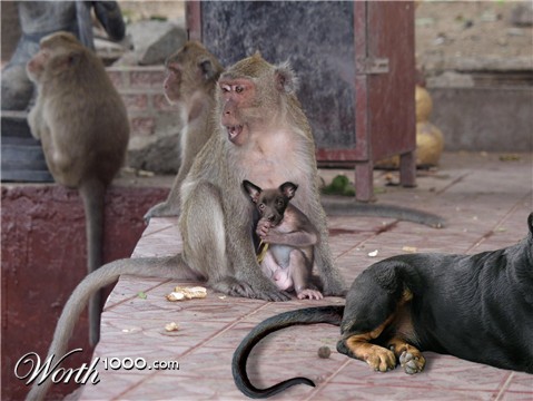 Photoshop Design by Sankrah