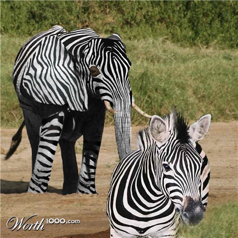 Photoshop Design by blackarrow7