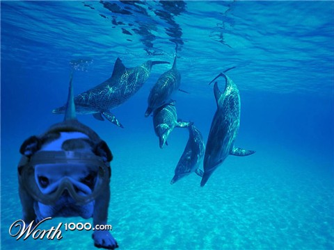 Photoshop Design by Brendan65