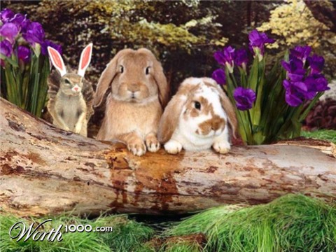 Photoshop Design by krp2008