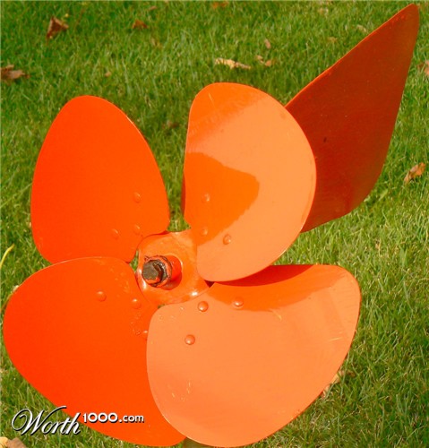 Photography by Megistus