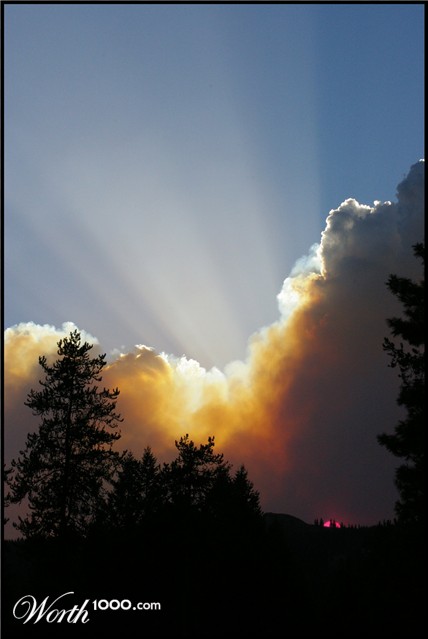 Photography by darlingmkt