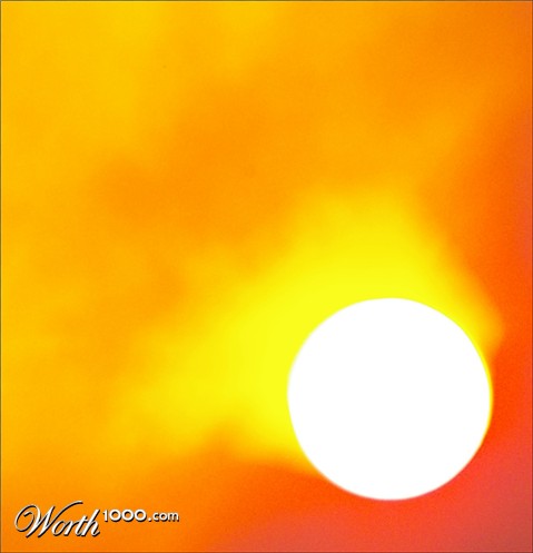 Photography by darlingmkt