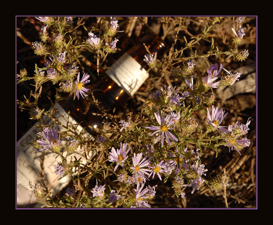 Photography by cshutt for DesignCrowd (Community Contests) | Design #8998031