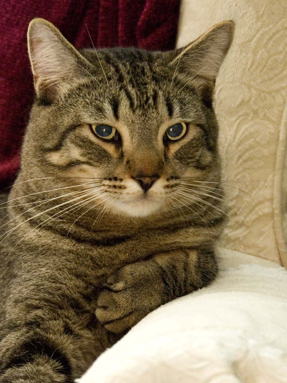 Photography by cshutt for DesignCrowd (Community Contests) | Design #8999969