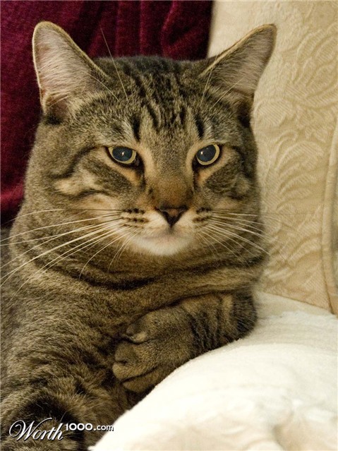 Photography by cshutt