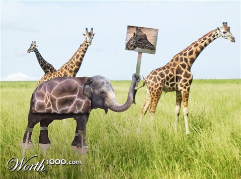 Photoshop Design by Tymberwolf