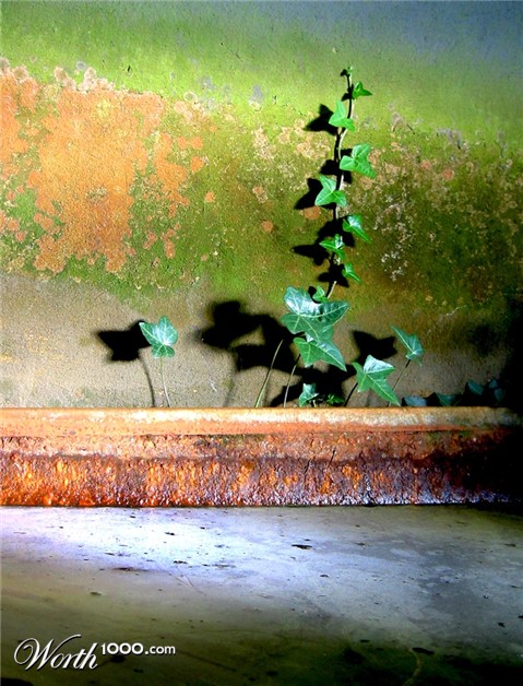 Photography by gormax