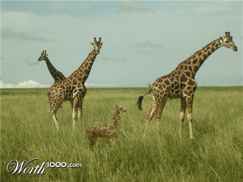 Photoshop Design by RobbCo