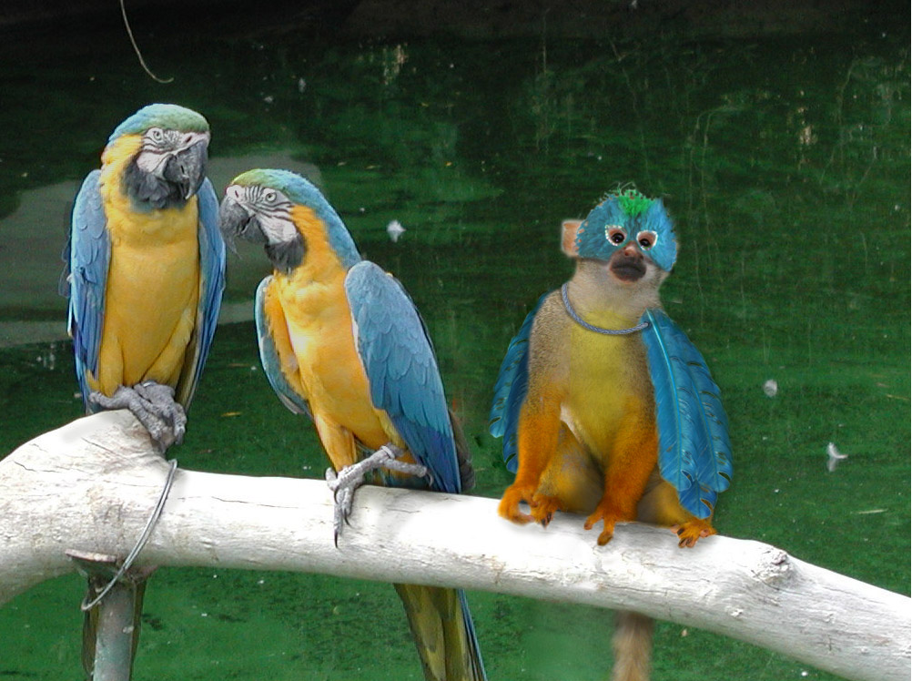 Diseño de Photoshop por froeling para DesignCrowd (Community Contests) | Diseño #8999024