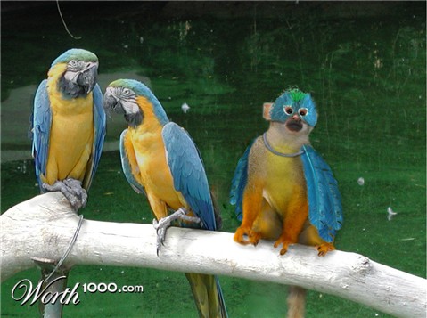 Photoshop Design by froeling