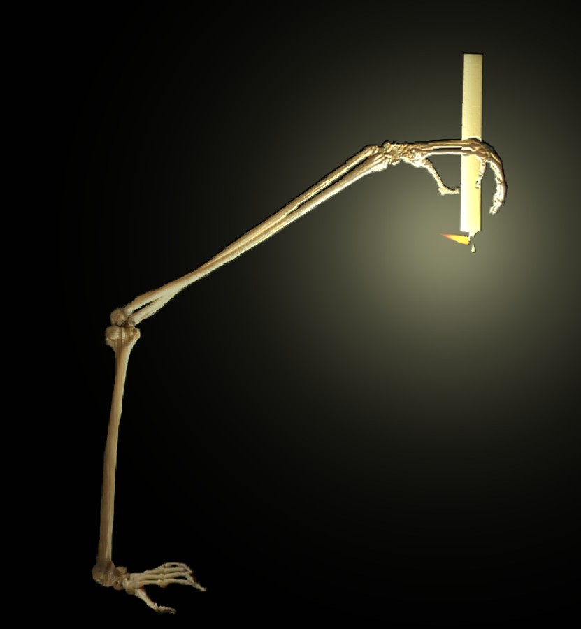 Design Photoshop par Fishwife pour DesignCrowd (Community Contests) | Design #9003987