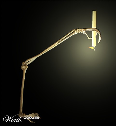 Photoshop Design by Fishwife