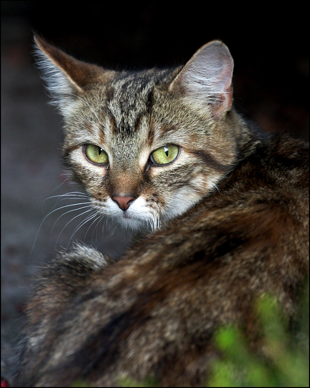 Photography by SigloV for DesignCrowd (Community Contests) | Design #8999965