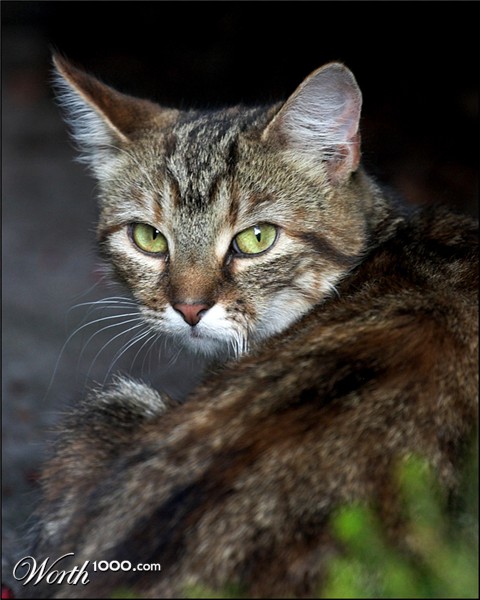 Photography by SigloV