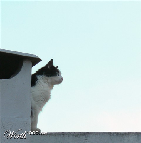 Photography by alicina