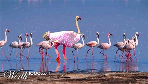 Photoshop Design by PeterAAAWelch