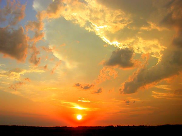 Photography by BBBastet for DesignCrowd (Community Contests) | Design #8997972