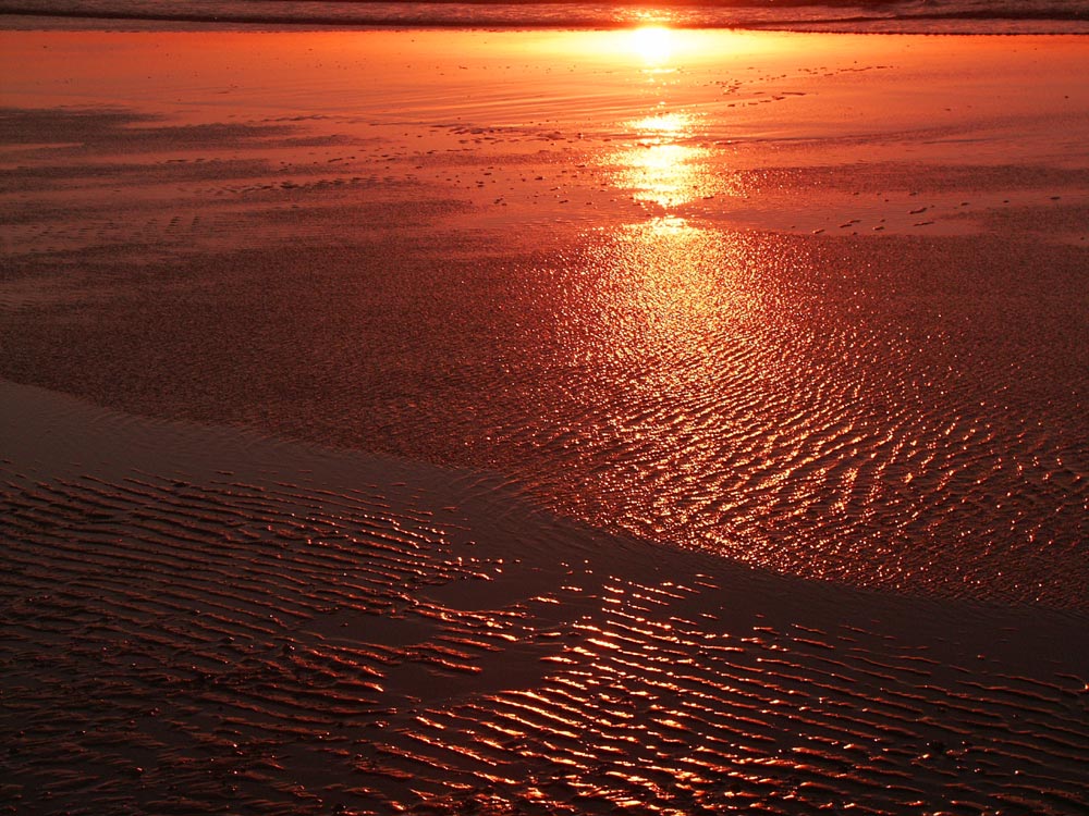 Photography by Lmorrow57 for DesignCrowd (Community Contests) | Design #8997994