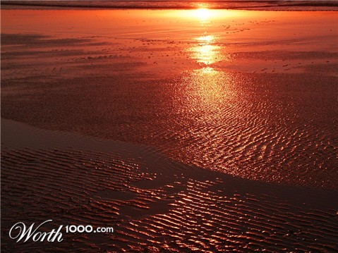 Photography by Lmorrow57