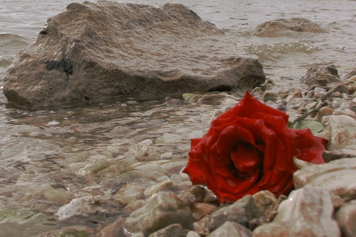 Photography by 1thirteen3 for DesignCrowd (Community Contests) | Design #8998082