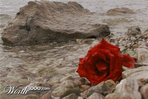 Photography by 1thirteen3