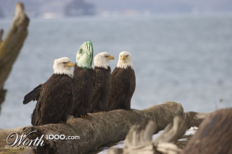 Photoshop Design by lilmickk