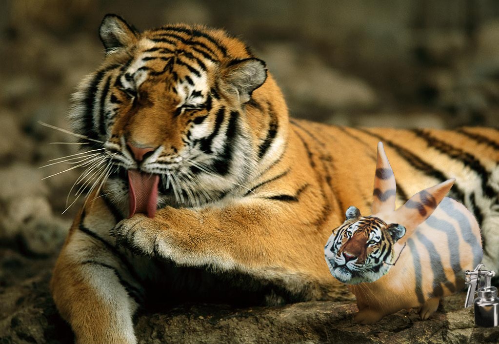 Design Photoshop par IceYeti pour DesignCrowd (Community Contests) | Design #8999028