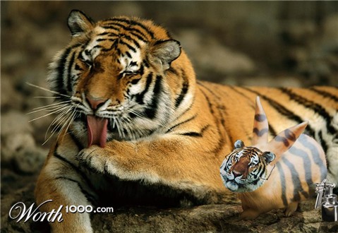 Photoshop Design by IceYeti