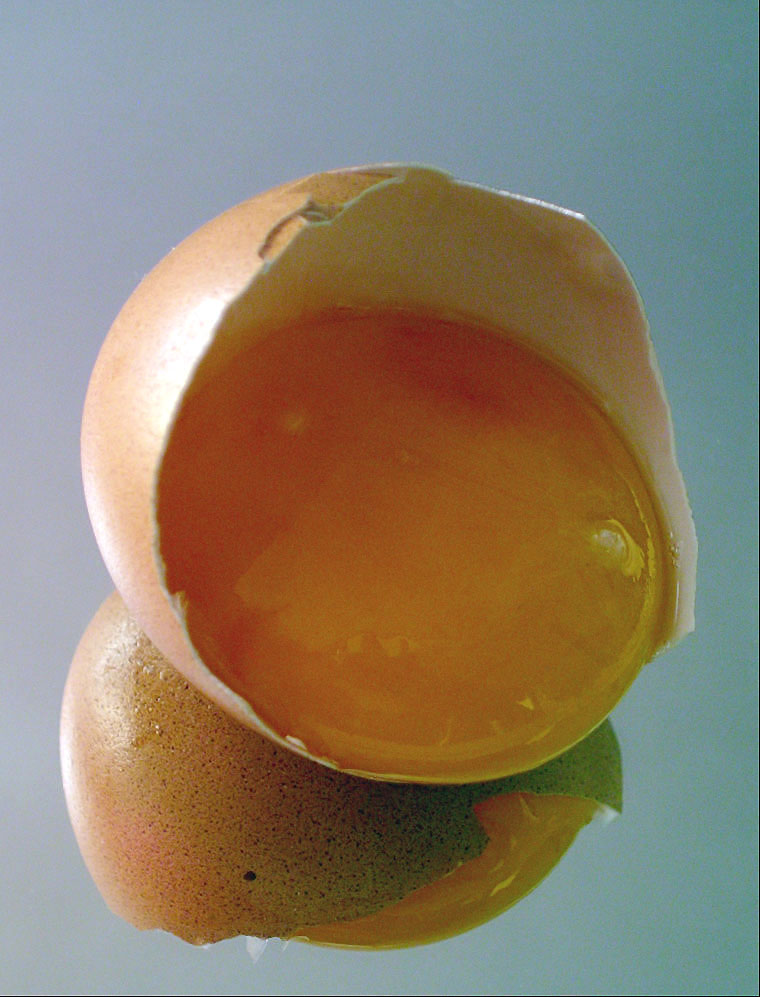 Fotografie von Isabella2006 für DesignCrowd (Community Contests) | Design #8997980