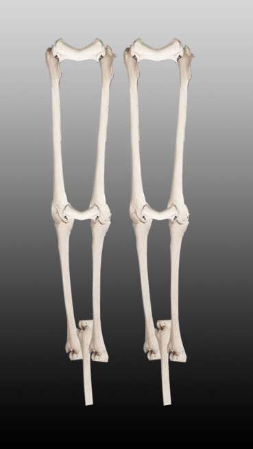 Photoshop Design by rajeshsharma for DesignCrowd (Community Contests) | Design #9004001