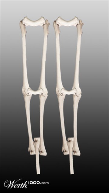 Photoshop Design by rajeshsharma