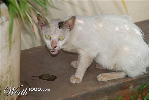 Photography by gymp93