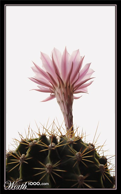 Photography by IsleofJura