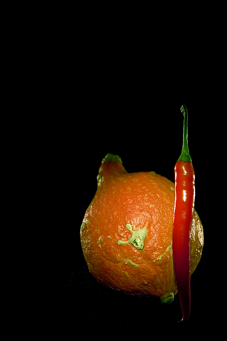 Fotografie von egonlinden für DesignCrowd (Community Contests) | Design #8998093