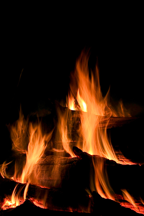 Photography by LaylaBlue for DesignCrowd (Community Contests) | Design #8998050