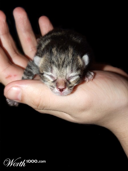 Photography by gwyfer