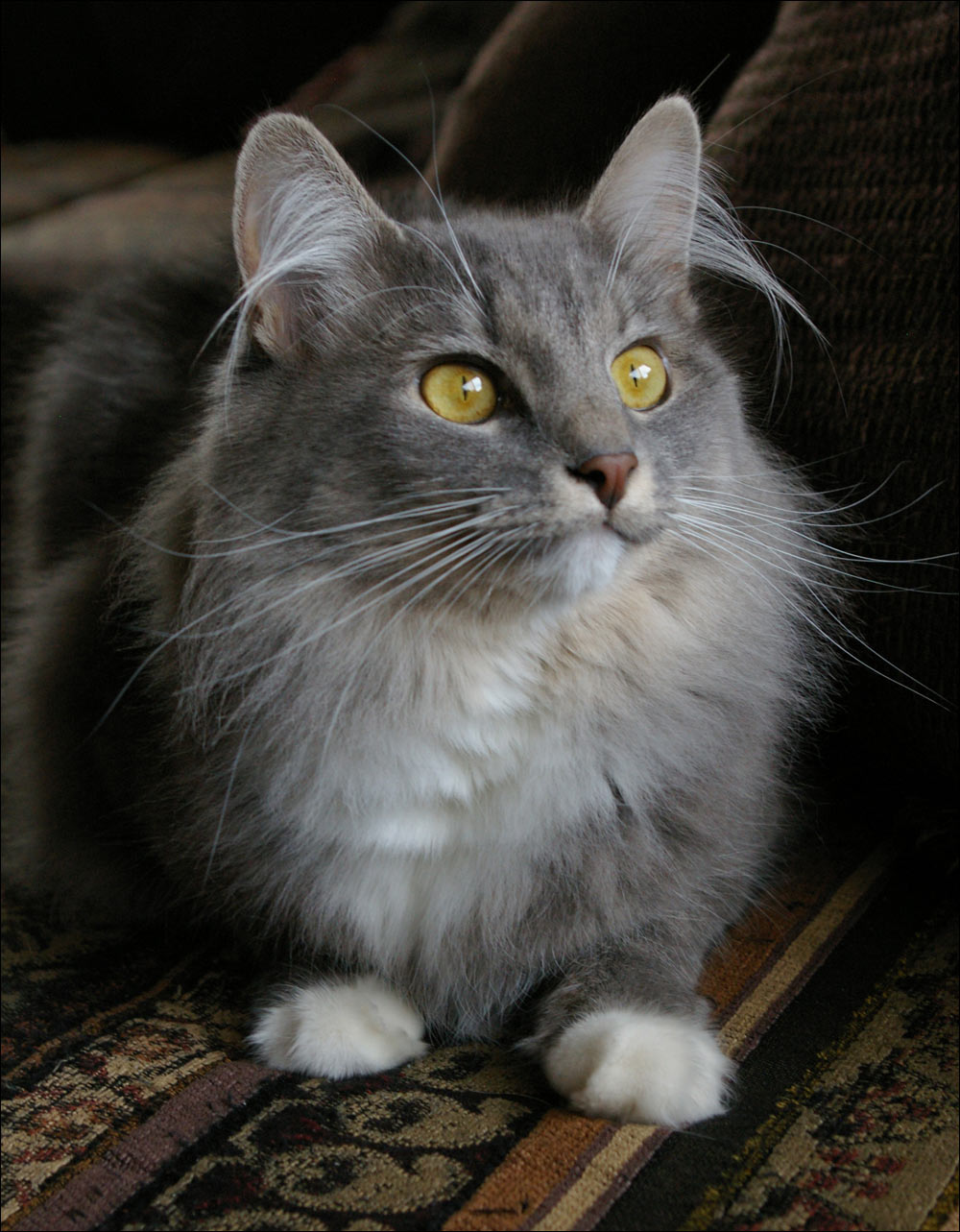 Photography by darlingmkt for DesignCrowd (Community Contests) | Design #9000052