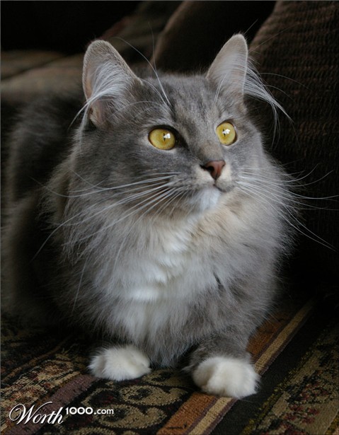 Photography by darlingmkt