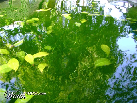 Photography by narinearraul