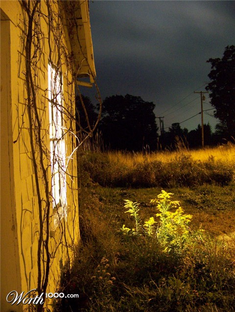 Photography by Marlii