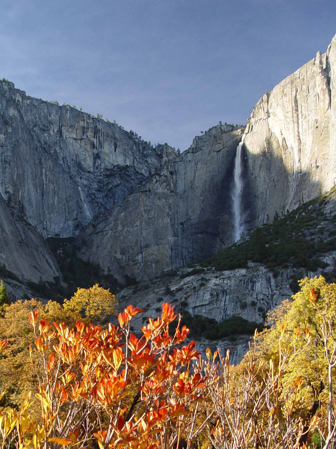 Photography by ljvgtj for DesignCrowd (Community Contests) | Design #8998894