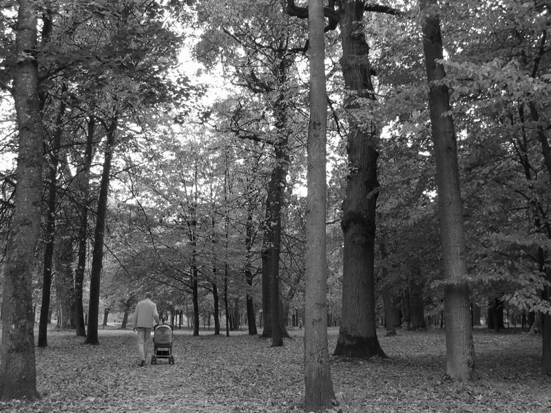 Photography by smekla for DesignCrowd (Community Contests) | Design #8998889