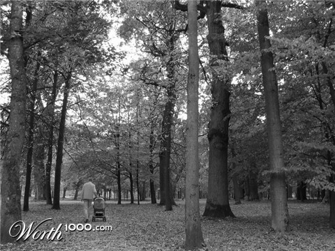 Photography by smekla