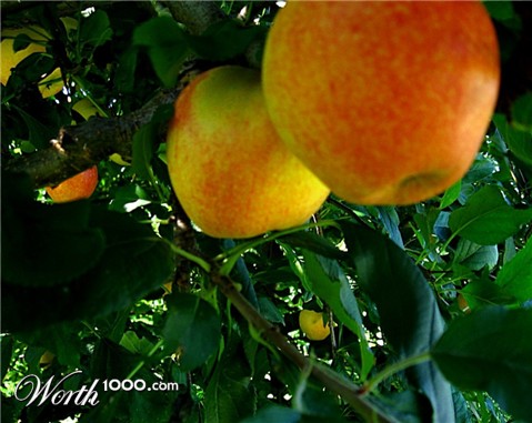 Photography by spincast1123