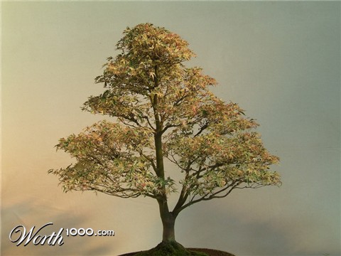 Photography by metalteacher